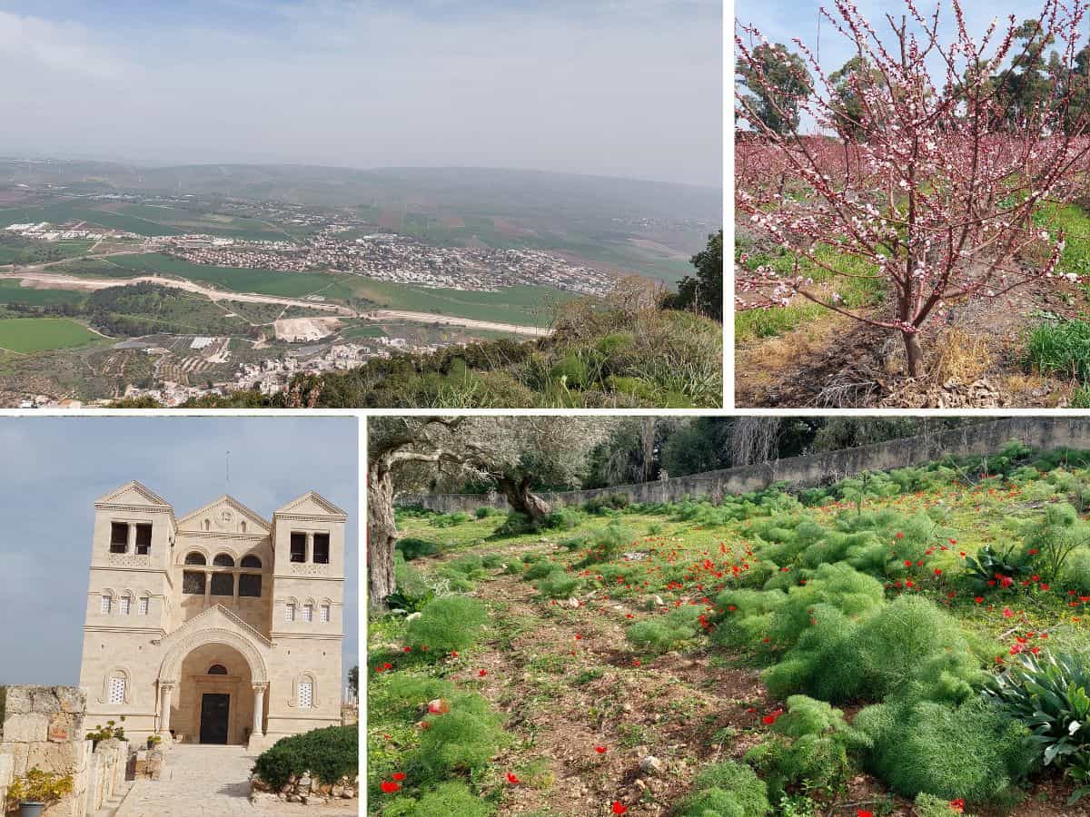 טיול זמן התבור פריחות וטעימות שבת 28.02.26 - עופרים