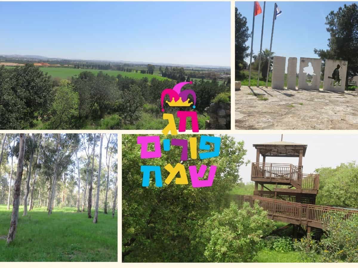 חורשת סנג'רטים (1)