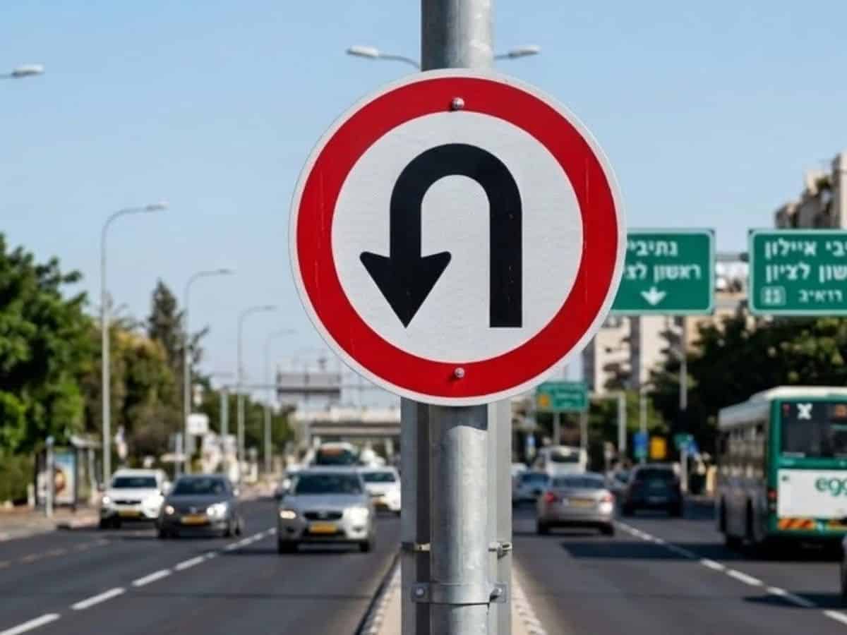 פניית פרסה (1)